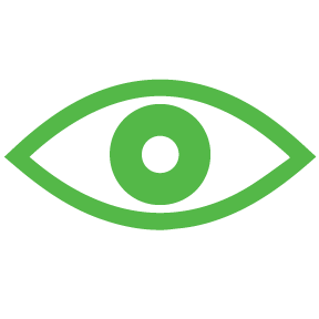 Our Vision